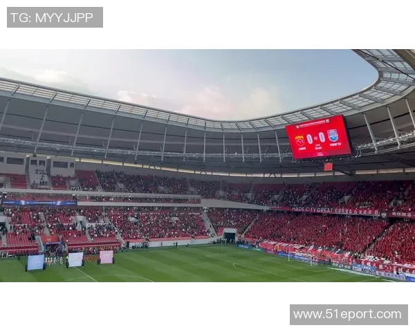 第6轮上海申花与天津泰达精彩集锦回顾及赛后分析 第6轮上海申花与天津泰达精彩集锦回顾及赛后分析